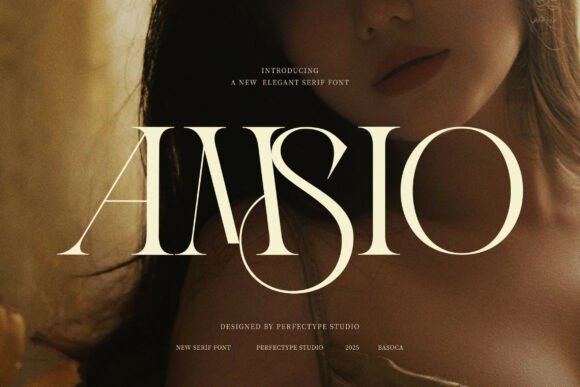 Amsio Elegant Serif for Refined Web Design Projects
