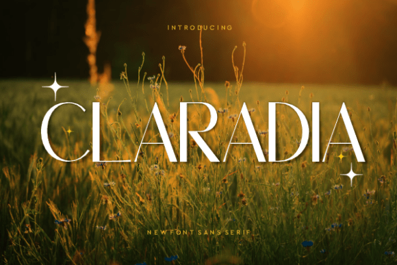Claradia Typeface for Modern Handmade Branding
