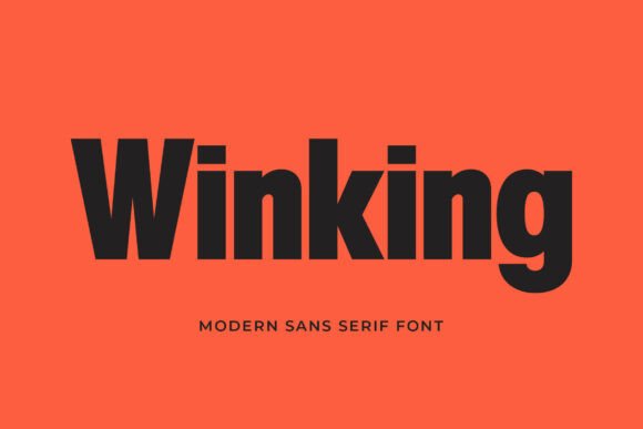 Winking Font: The Modern Sans Serif for Handmade Crafts